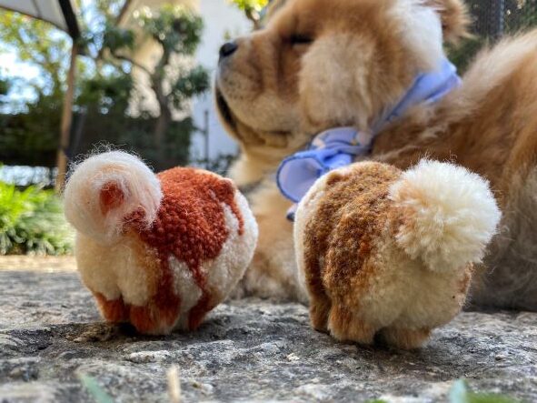 ぽんぽん作品の紹介とぽんぽん製作における材料 道具の話 Qooro S Page